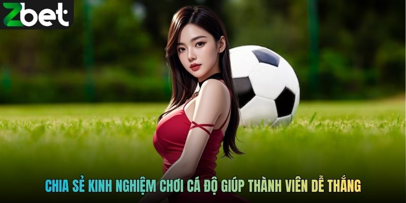 Chia sẻ kinh nghiệm chơi cá độ giúp thành viên dễ thắng